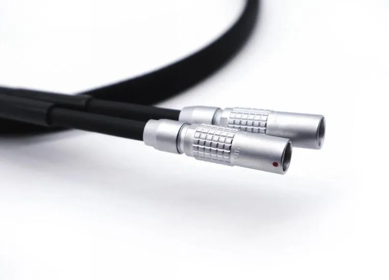 Electrode extension leads